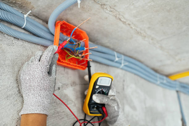 Best Ceiling Fan Installation Electrician  in Csar Chvez, TX